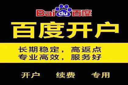 百度竞价排名推广：快速提升网站流量的技巧